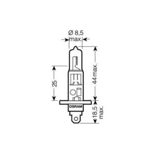Bulb