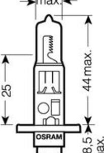 Bulb
