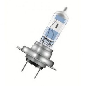 Bulb