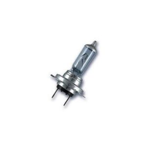 Bulb