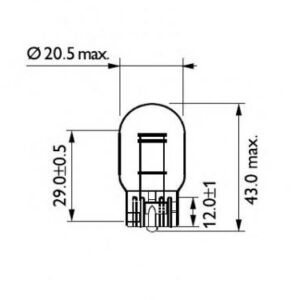 Bulb