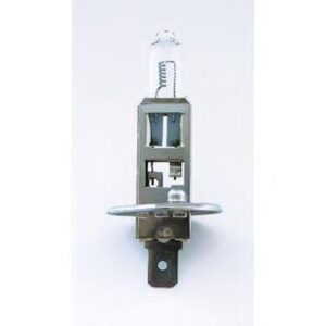 Bulb