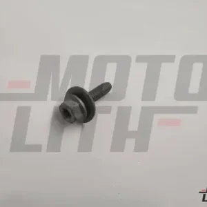 FLGD HEX HD SCREW