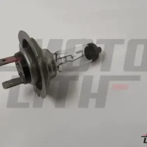 H7 Bulb 12V 55W Clear (Single Bulb)