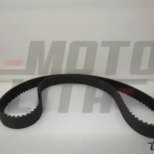 Timing Belt