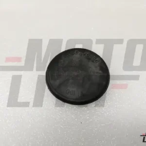 PLUG-BUTTON