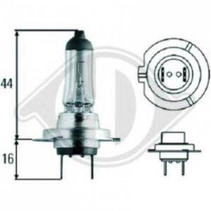 Bulb