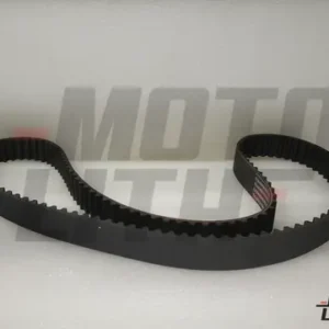 Timing Belt