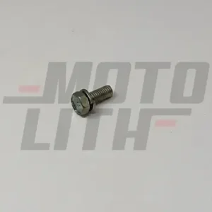 BOLT, W/WASHER
