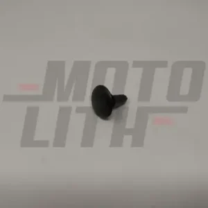 CLIP