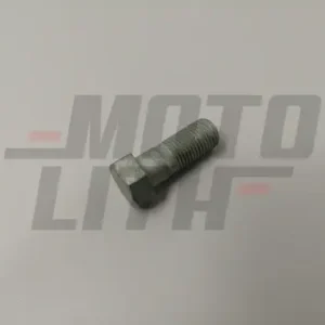 BOLT-CALIPER MTG