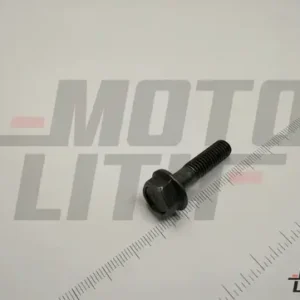 BOLT