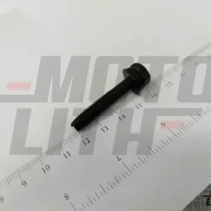 BOLT