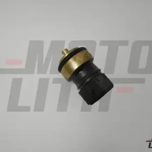 Temperature Sensor 