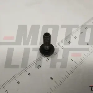 BOLT