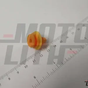 CLIP