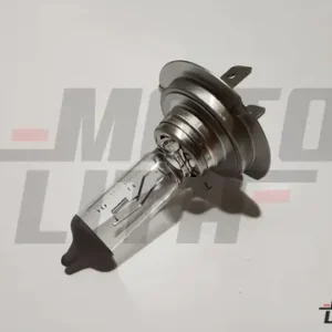 LAMP-LOW BEAM HEAD