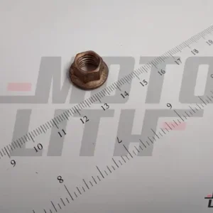 NUT-MTG