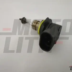 halogen bulb