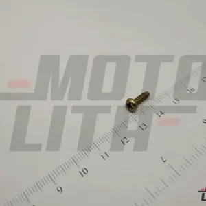 SCREW, HORN SPRING