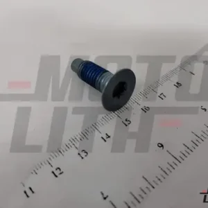 SCREW/MACHINE-TORX