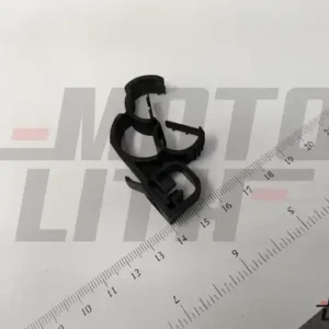 CLIP-MTG