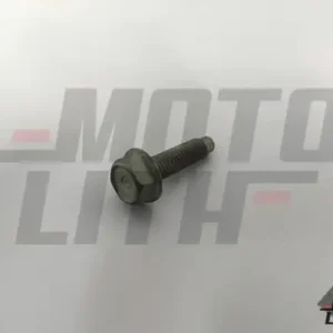 BOLT