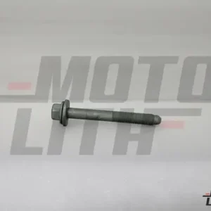 BOLT
