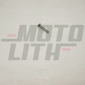 SCREW,RR DOOR WINDOW LOCK
