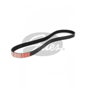 V-Ribbed Belt