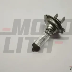 BULB-HALOGEN, 12V>12V 55W