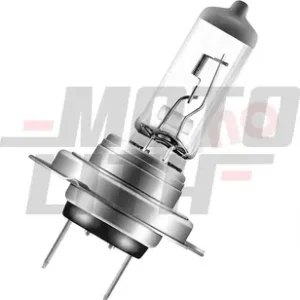 H7 Halogen Bulb 12V 80W (Single Bulb)