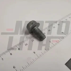 BOLT