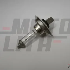 H7 Halogen Bulb 12V 55W (Single Bulb)