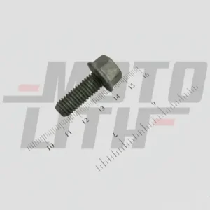 BOLT