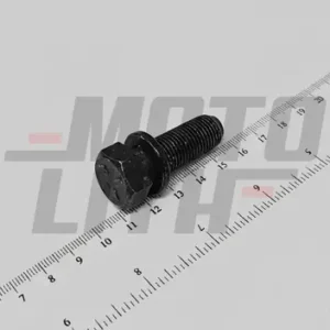 BOLT, W/WASHER