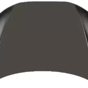 PANEL ASSY-HOOD