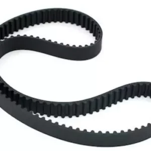 NOTCHED BELT
