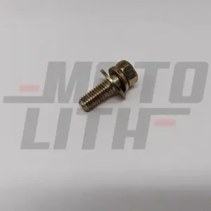 BOLT, W/WASHER