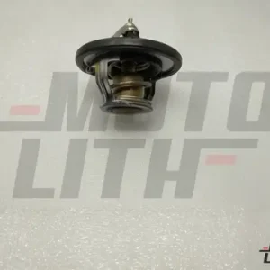THERMOSTAT ASSY