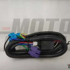 Dual Head Lamp Relay With Wiring Harness
