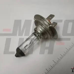 BULB,LOW BEAM HDLP