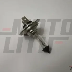 H7 Halogen Bulb 24V 70W (Single Bulb)