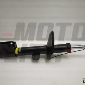 Front Suspension Strut Left/Right