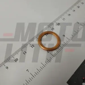 RING GASKET