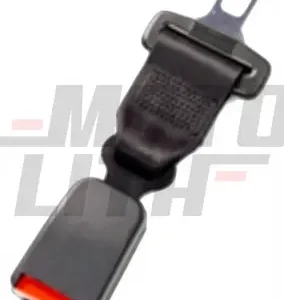 BELT-SEAT CTR,RR 2