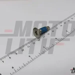 SCREW/MACHINE-TORX