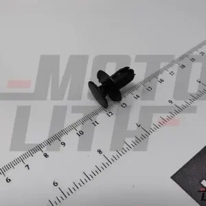 CLIP
