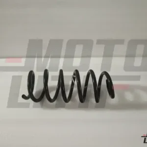 SPRING-REAR SUSPEN