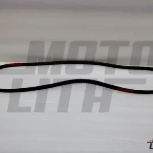 RIBBED BELT-V